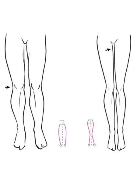 Differences Male  Female figures  I Draw Fashion