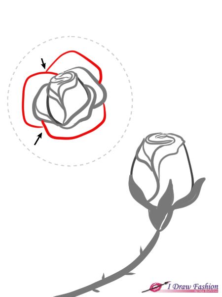 How To Draw Roses I Draw Fashion